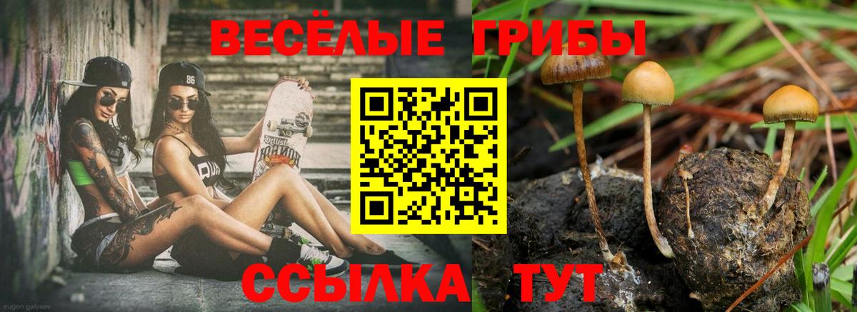 Галлюциногенные грибы Cubensis  Вход с VPN  Набережные Челны  Галлюциногенные грибы ЛСД 