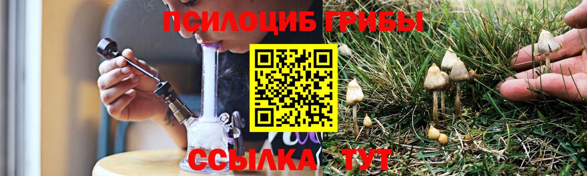 Псилоцибиновые грибы Cubensis Набережные Челны